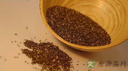 奇雅子的养生功效与十三种益处 奇雅子的养生功效与十三种益处