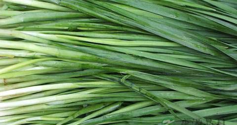 吃什么发育快 吃什么发育快