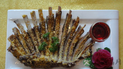 羊排的做法大全