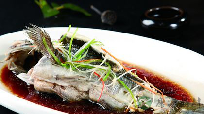 清蒸石斑鱼是哪个地方的菜 清蒸石斑鱼是哪个地方的菜