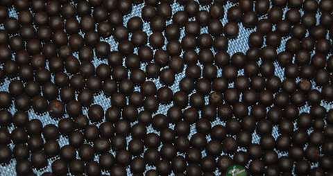 去湿气吃什么中成药 去湿气吃什么中成药