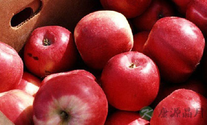 营养专家力推有营养的零食 营养专家力推有营养的零食