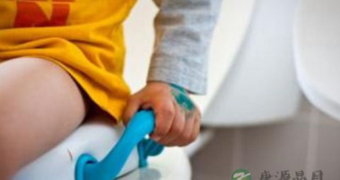 腹泻期间吃什么 腹泻期间吃什么