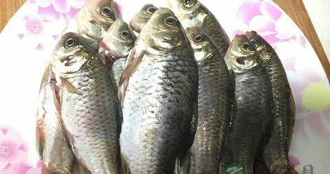 防治肿瘤的食物