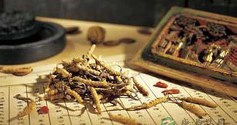 脂溢性脱发用什么 脂溢性脱发用什么