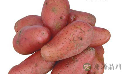 红薯养生:吃红薯的好处多多 红薯养生:吃红薯的好处多多