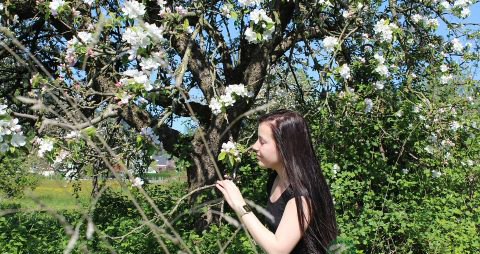 不得不吃的防辐射食物 不得不吃的防辐射食物