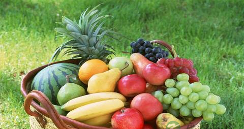 骨髓增生异常综合征饮食 骨髓增生异常综合征饮食