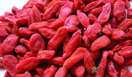 多吃枸杞子轻松拥有亮睛睛
