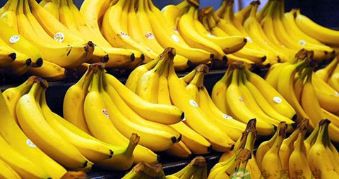 女性脂溢性脱发怎么办 女性脂溢性脱发怎么办