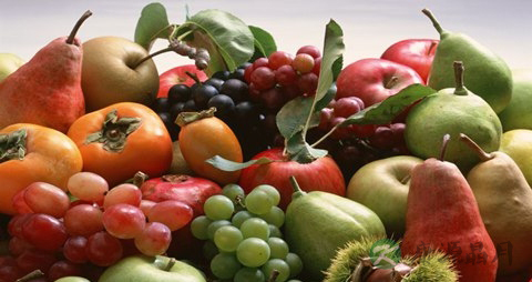 吃什么能固齿 吃什么能固齿