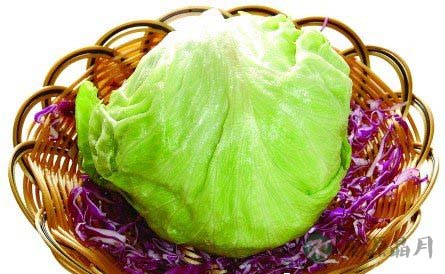 春季八大祛火蔬菜 春季八大祛火蔬菜