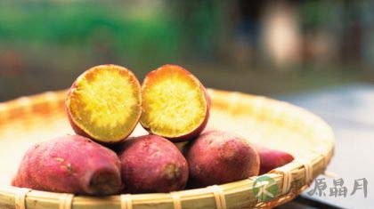 小小红薯营养高 小小红薯营养高