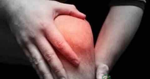 风湿骨痛吃什么 风湿骨痛吃什么