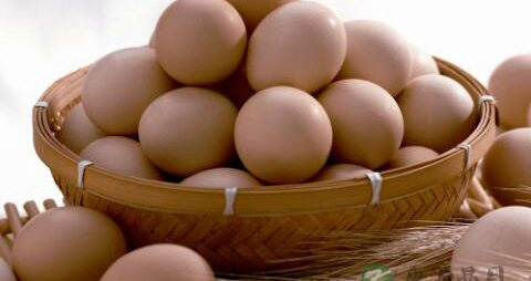 骨头愈合吃什么