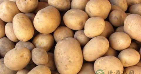 土豆怎样保存不发芽 放个苹果即可 土豆怎样保存不发芽 放个苹果即可