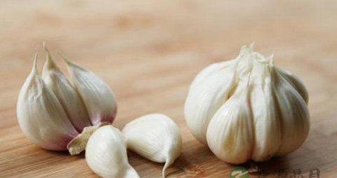 八种世界公认的最抗癌食物