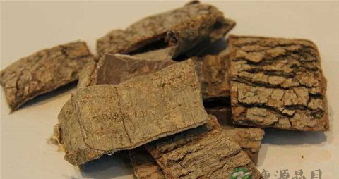 强筋壮骨的中药材 强筋壮骨的中药材