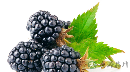 13种黑色食物越黑营养越丰富