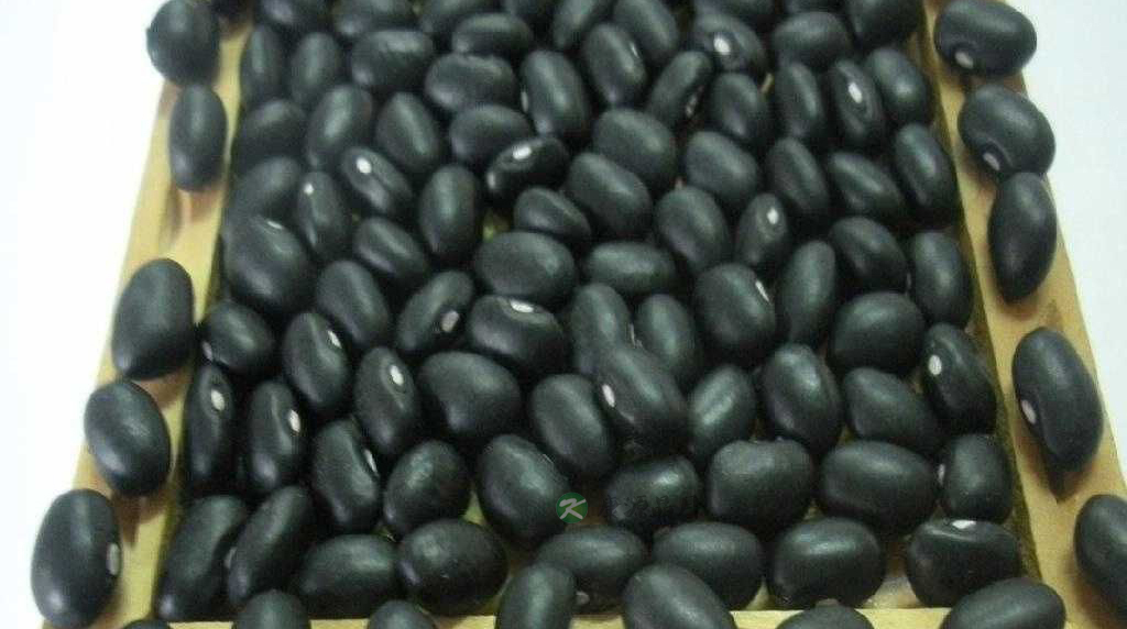 13种黑色食物越黑营养越丰富