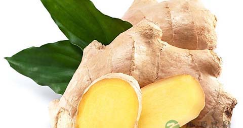 防脱发的药材 防脱发的药材