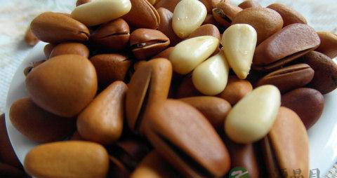 吃松仁有什么好处