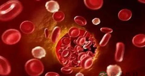 骨髓纤维化的饮食 骨髓纤维化的饮食