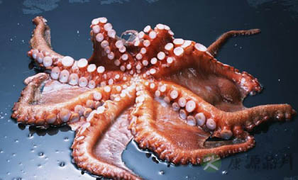 夏季最该吃哪些食物