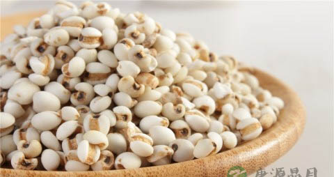 吃什么可以排除体内的湿气 吃什么可以排除体内的湿气