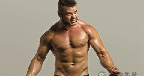 强筋壮骨膏 强筋壮骨膏