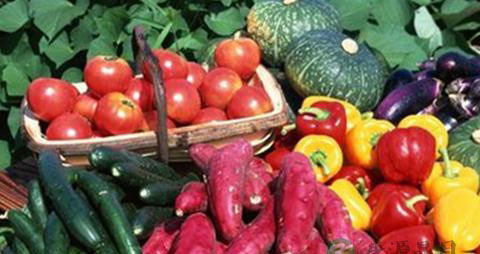 化学性脱发怎么治疗