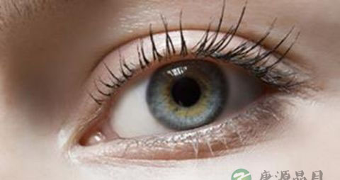 吃什么可以护眼 吃什么可以护眼