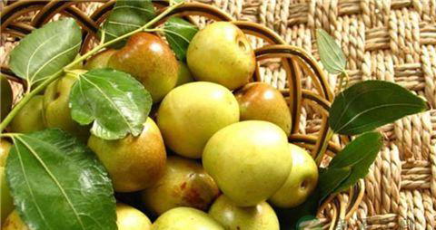 冬枣吃多了会怎么样 冬枣吃多了会怎么样