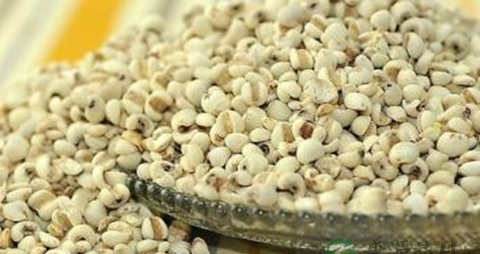 吃什么可以去除湿气