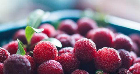 什么食物能生津