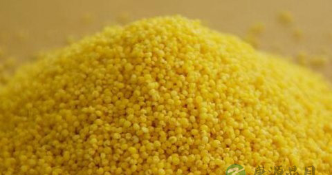 高血压血脂稠吃什么好 高血压血脂稠吃什么好