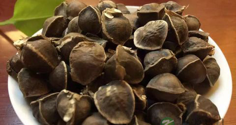 吃辣木籽上火吗