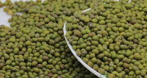 吃什么能排除体内湿气 吃什么能排除体内湿气