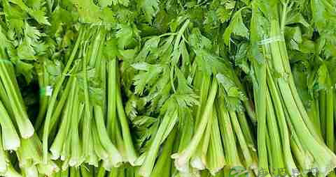 头顶脱发厉害怎么办 头顶脱发厉害怎么办