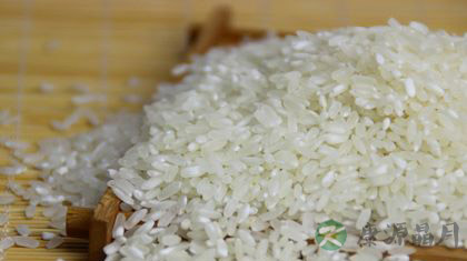大米放久了还能吃吗 大米放久了还能吃吗