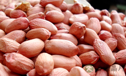 吃什么可以提高记忆力 盘点提高记忆力的食物 吃什么可以提高记忆力 盘点提高记忆力的食物