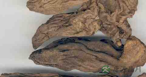 清热解毒配方 清热解毒配方