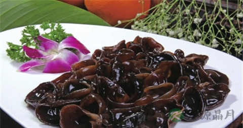 吃什么治血栓 吃什么治血栓