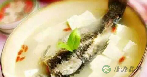 能补充钙的食物