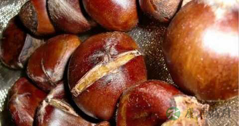 11个方法巧剥栗子皮