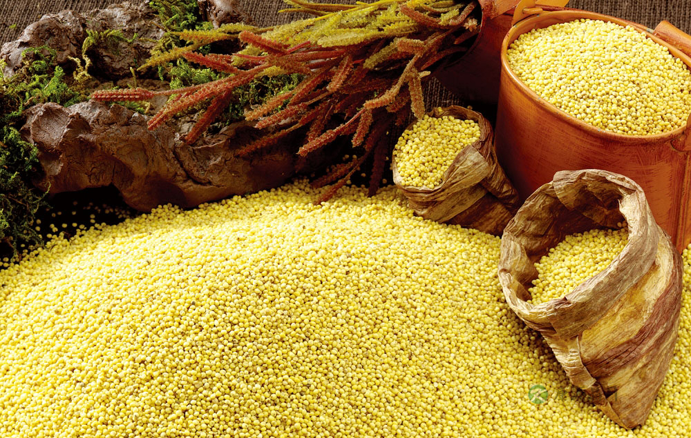 记忆力下降吃什么食物