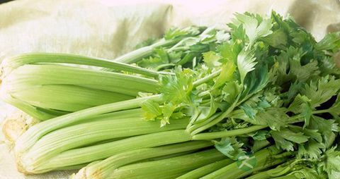 降血脂蔬菜 降血脂蔬菜