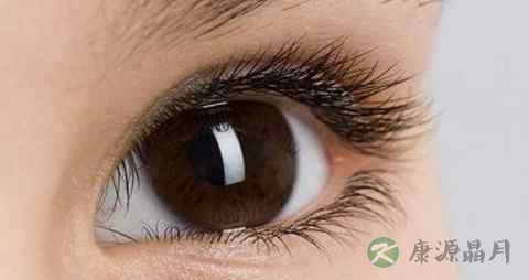 眼睛干涩吃啥好 眼睛干涩吃啥好