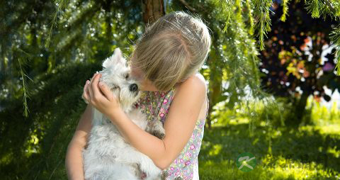 彩色食物给你好心情