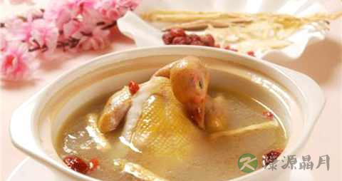小孩子可以吃鸽子汤吗